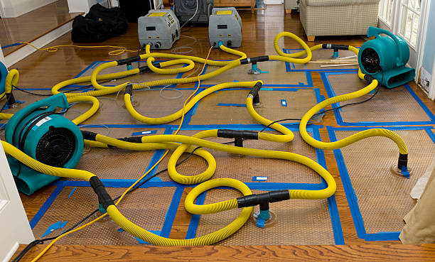 Professional Burst Pipe Water Damage technician working in Neptune, NJ